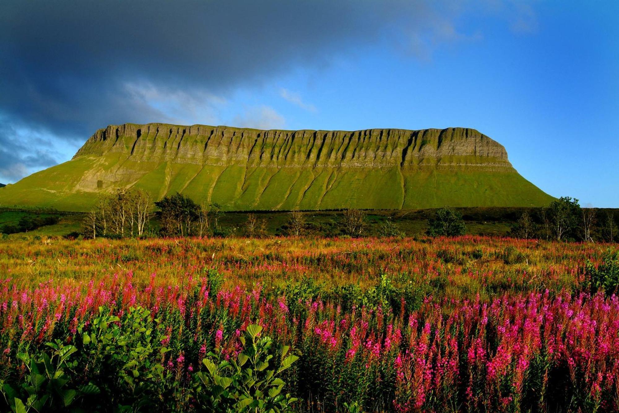 Central Sligo Townhouse Eksteriør bilde